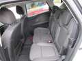 Renault Scenic 1.5 dCi Energy Bose Edition Gris - thumbnail 6