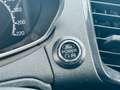 Ford EcoSport 1.0 Titanium-Teilleder-Klimaautom.-PDC Gris - thumbnail 13