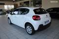 Citroen C3 1.5 BlueHDI 100 ch Feel Business BVM6 (1er Main, garantie 12 Mois) Blanc - thumbnail 6