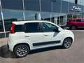 Fiat Panda 1,2 69 Lounge Weiß - thumbnail 3