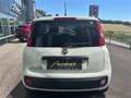 Fiat Panda 1,2 69 Lounge Weiß - thumbnail 4