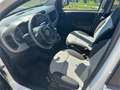 Fiat Panda 1,2 69 Lounge Weiß - thumbnail 5