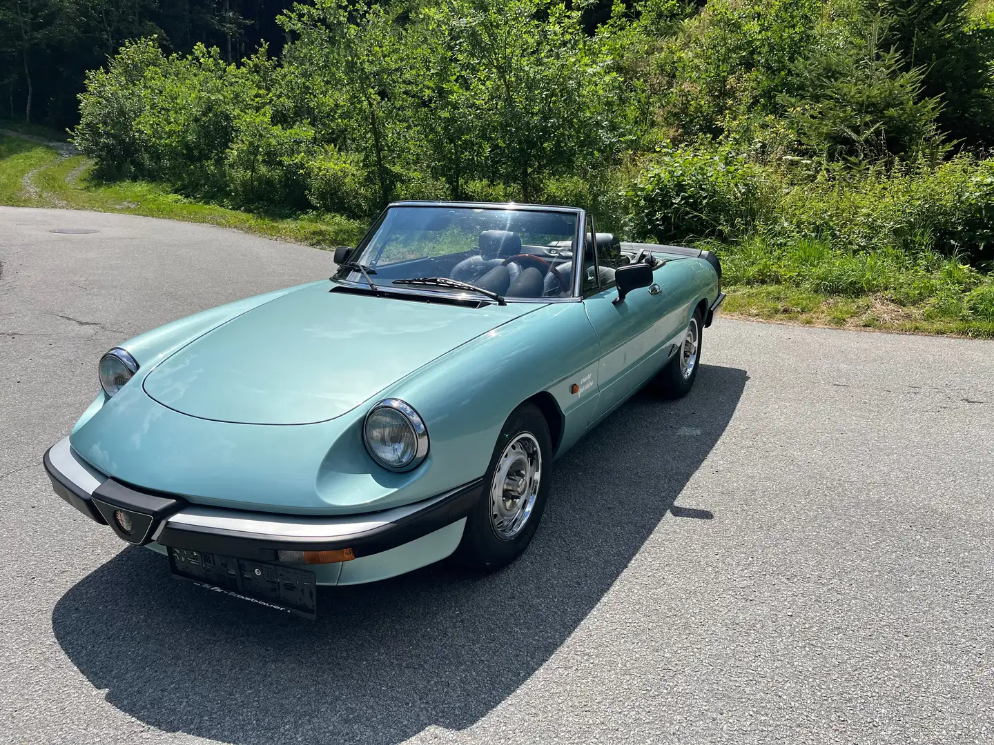 Alfa Romeo Spider Grün - 1