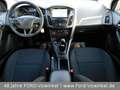 Ford Focus FOCUS Lim. BUSINESS Edition 1.0 EcoB+RFK+KLA+elS Gris - thumbnail 10