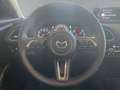 Mazda CX-30 Exclusive-Line Amazon Alexa 360° Kamera Beige - thumbnail 12