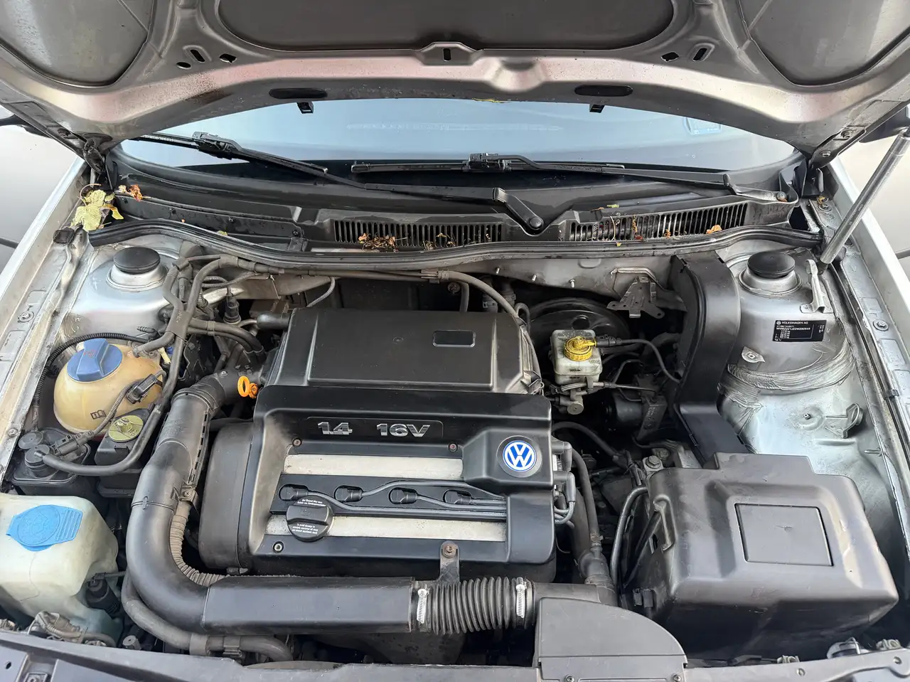 Volkswagen Golf 1.4 Special, foto 2