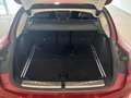 BMW X4 xDrive 20dA Rood - thumbnail 14