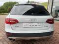 Audi A4 allroad 2.0 tdi 177cv Quattro s-tronic, 20", Xenon, Navi Bianco - thumbnail 7