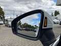 Volkswagen Tiguan 2.0 TDI DSG R-LINE *MATRIX*NAVI*STDHZG* Weiß - thumbnail 21