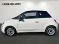 Fiat 500 1.0 GSE Hyb. Dolcevita mit Klima*Bluetooth*Lederau Weiß - thumbnail 6