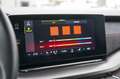 Skoda Octavia 1.4 TSI RS iV Bns | Led | Cruise | RS | Camera | S Grijs - thumbnail 39