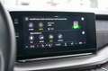 Skoda Octavia 1.4 TSI RS iV Bns | Led | Cruise | RS | Camera | S Grijs - thumbnail 40