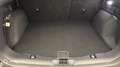 Ford Kuga 2.0 ECOBLUE 120CV BVA 4x4 TITANIUM X - thumbnail 14