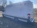 Mercedes-Benz Sprinter 316 CDI 906 XXL Weiß - thumbnail 7
