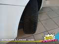 Fiat Punto 5p 1.4 Easypower Street GPL 77cv 5 POSTI Blanc - thumbnail 15