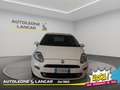 Fiat Punto 5p 1.4 Easypower Street GPL 77cv 5 POSTI Blanc - thumbnail 2