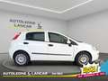 Fiat Punto 5p 1.4 Easypower Street GPL 77cv 5 POSTI Blanc - thumbnail 8