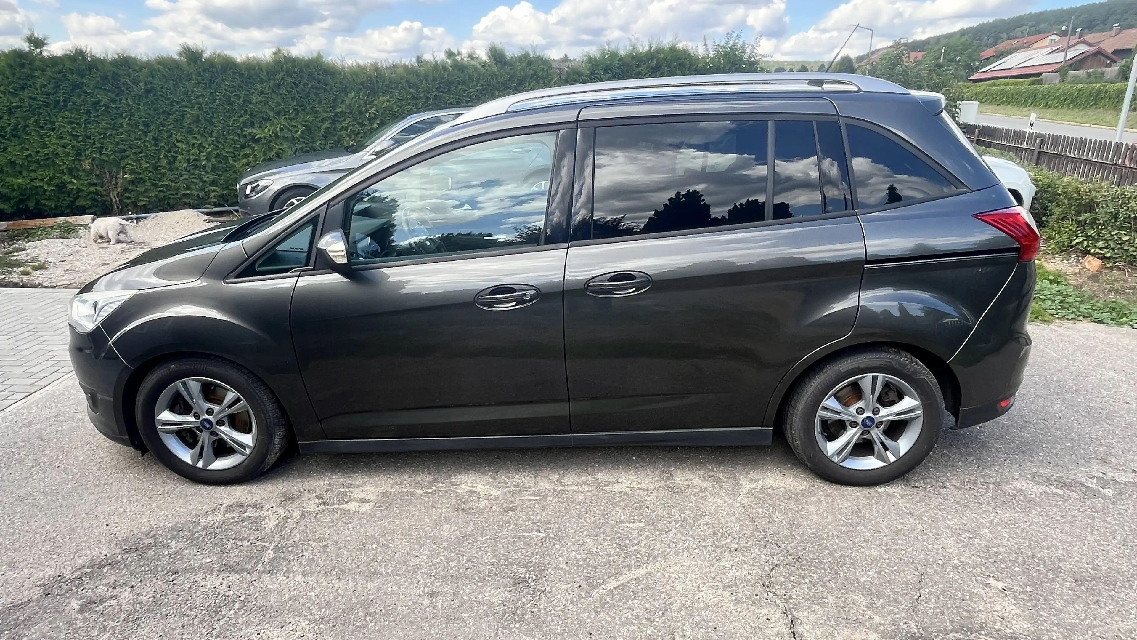 Ford Grand C-Max Business Edition — photo 8