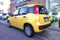 Fiat Panda 1.0 FireFly S&S Hybrid Gelb - thumbnail 3