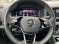 Skoda Karoq 1.5l TSI DSG ACC,Kamera,Navi,LED,ACC Grau - thumbnail 12