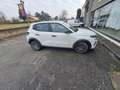 Citroen C3 C3 IV 2024 1.2 puretech turbo You 100cv s Blanc - thumbnail 7