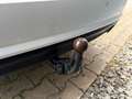 Audi A6 Avant 3.0 TDI*Led*Navi*AHK*RFK*Asisstenz Blanco - thumbnail 10
