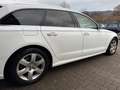 Audi A6 Avant 3.0 TDI*Led*Navi*AHK*RFK*Asisstenz Blanco - thumbnail 6
