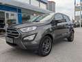 Ford EcoSport Cool Grau - thumbnail 2