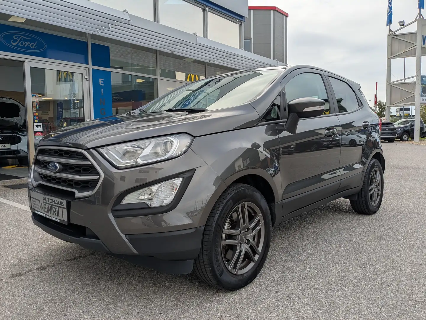 Ford EcoSport Cool Grau - 2
