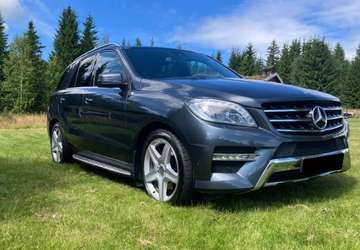 ML 250 BlueTEC Optimum Edition