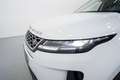 Land Rover Range Rover Evoque 2.0D I4 MHEV S AWD Aut. 163 Blanco - thumbnail 10