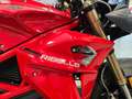 Energica Eva Ribelle Rouge - thumbnail 11