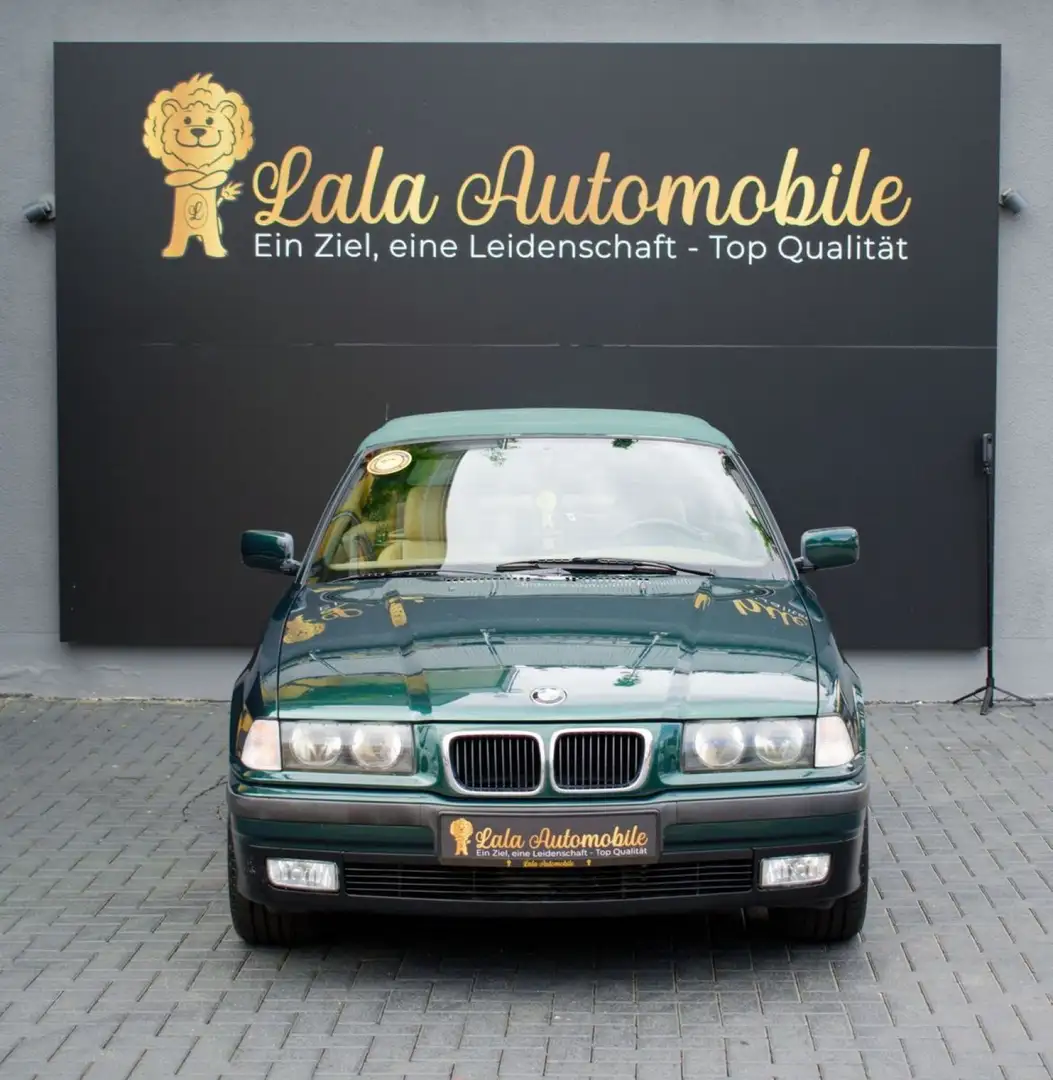 BMW 318 E36 Cabrio 1.HAND TEMPOMAT KLIMA VOLLLEDER R Grün - 2