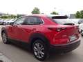 Mazda CX-30 G122 Selection 2WD AT Leder ACC HUD BOSE Rosso - thumbnail 5