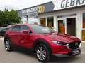 Mazda CX-30 G122 Selection 2WD AT Leder ACC HUD BOSE Rosso - thumbnail 9