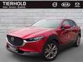 Mazda CX-30 G122 Selection 2WD AT Leder ACC HUD BOSE Rosso - thumbnail 2