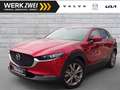 Mazda CX-30 G122 Selection 2WD AT Leder ACC HUD BOSE Rosso - thumbnail 1