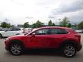 Mazda CX-30 G122 Selection 2WD AT Leder ACC HUD BOSE Rosso - thumbnail 4