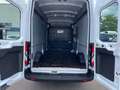 Ford Transit Kasten 2.0 l EcoBlue Trend 350 L3H3 Autom. RADIO/D Weiß - thumbnail 23