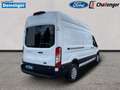 Ford Transit Kasten 2.0 l EcoBlue Trend 350 L3H3 Autom. RADIO/D Blanco - thumbnail 5