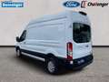 Ford Transit Kasten 2.0 l EcoBlue Trend 350 L3H3 Autom. RADIO/D Blanco - thumbnail 3