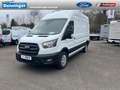 Ford Transit Kasten 2.0 l EcoBlue Trend 350 L3H3 Autom. RADIO/D Weiß - thumbnail 1