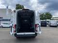 Ford Transit Kasten 2.0 l EcoBlue Trend 350 L3H3 Autom. RADIO/D Weiß - thumbnail 24