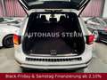 Volkswagen Touareg V6 TDI Terrain Tech R Line 360°Cam 8fach Weiß - thumbnail 7