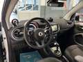 smart forTwo 1.0 Passion 71cv twinamic Weiß - thumbnail 4