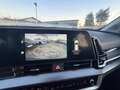 Kia Sportage HEV 1.6 Full Hybrid 210cv BUSINESS Pronta Consegna Nero - thumbnail 13