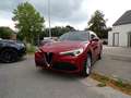 Alfa Romeo Stelvio Stelvio 2.0 Turbo 16V AT8-Q4 Super Rood - thumbnail 2