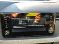 Skoda Scala Tour AHZV SmartLink Bluetooth DAB Grau - thumbnail 15