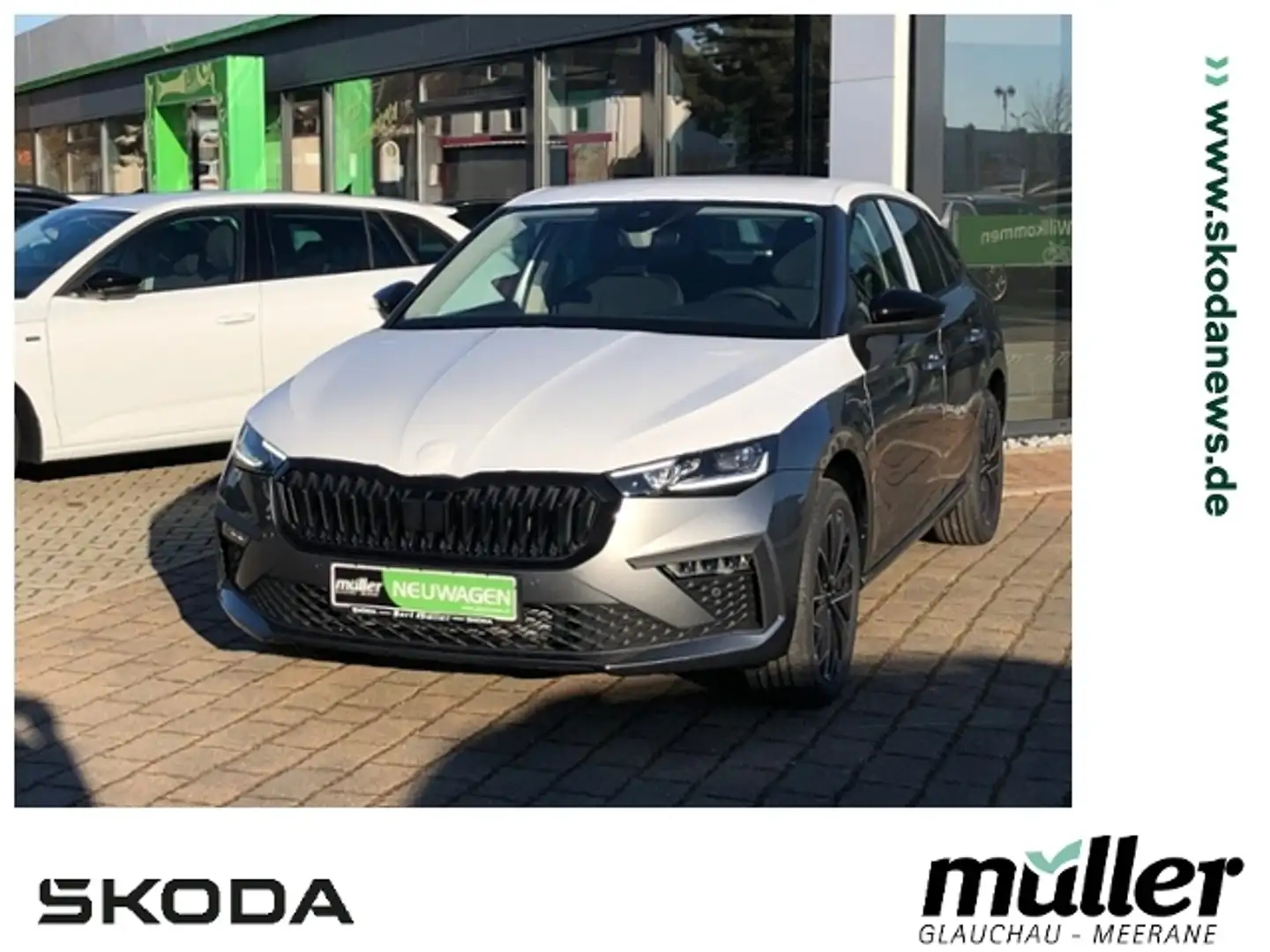 Skoda Scala Tour AHZV SmartLink Bluetooth DAB Grau - 1