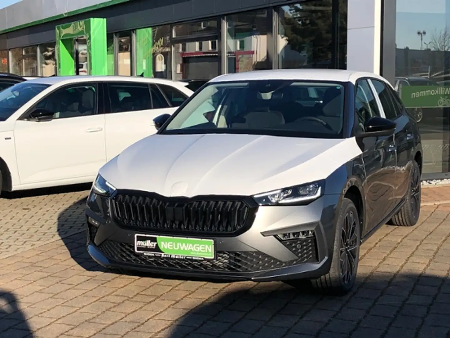 Skoda Scala Tour AHZV SmartLink Bluetooth DAB Grau - 2